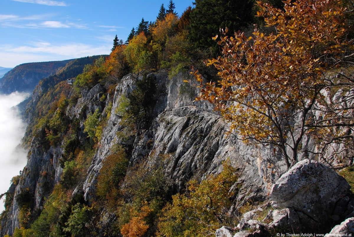 Die Hohe Wand